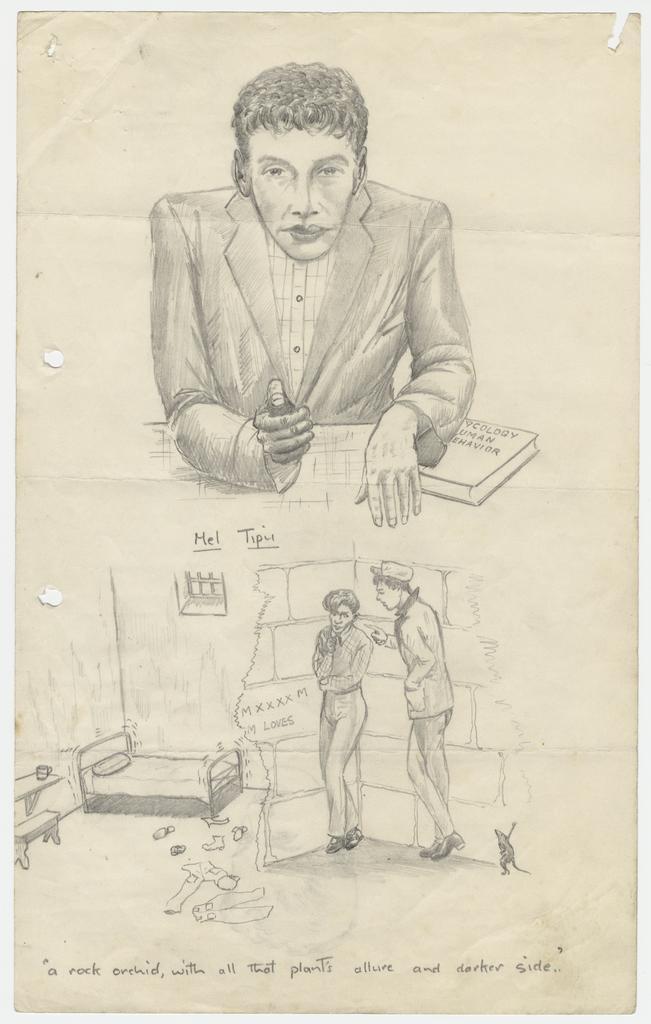 'A rock orchid' from 'The Rock Orchid' by Bert Pimley