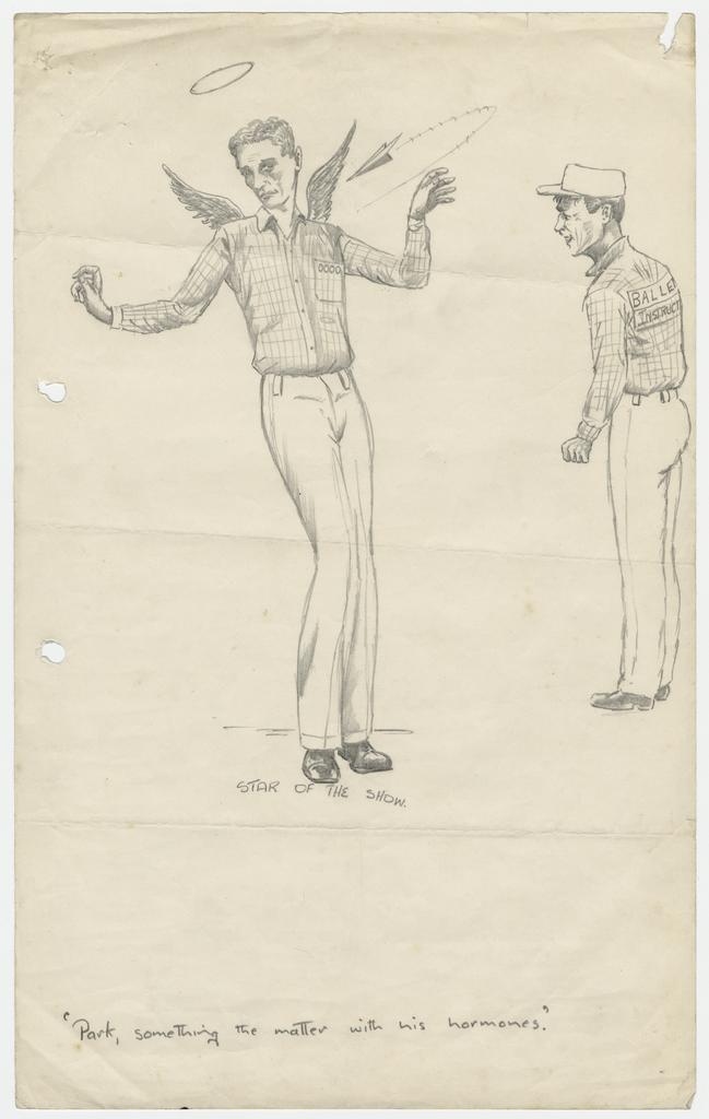 'Star of the show' from 'The Rock Orchid' by Bert Pimley