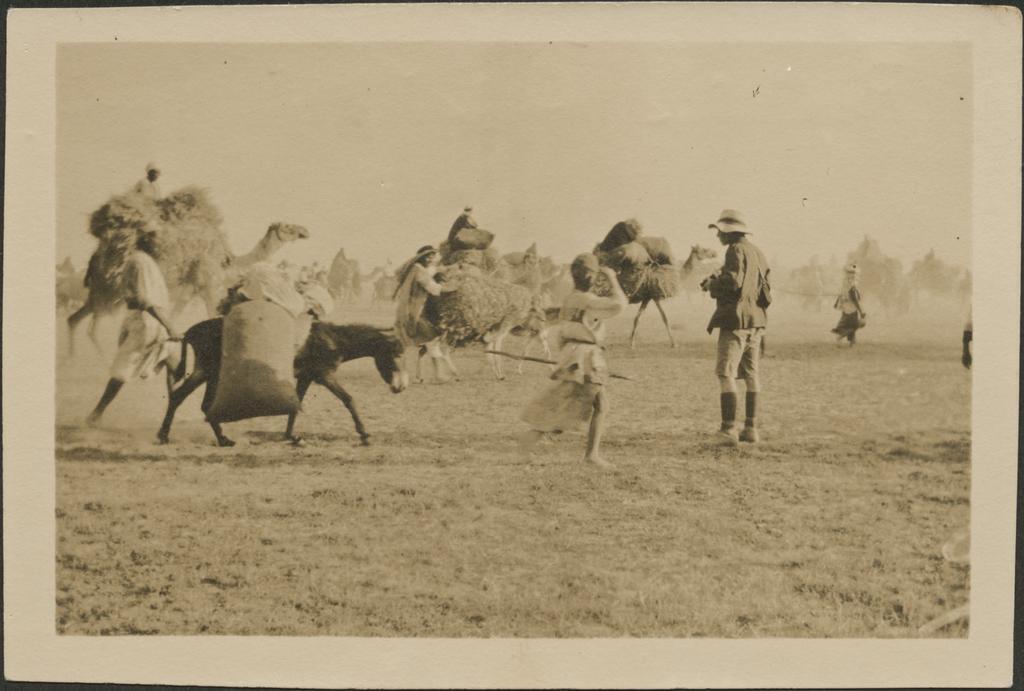 'Bedouins bringing in Barley'