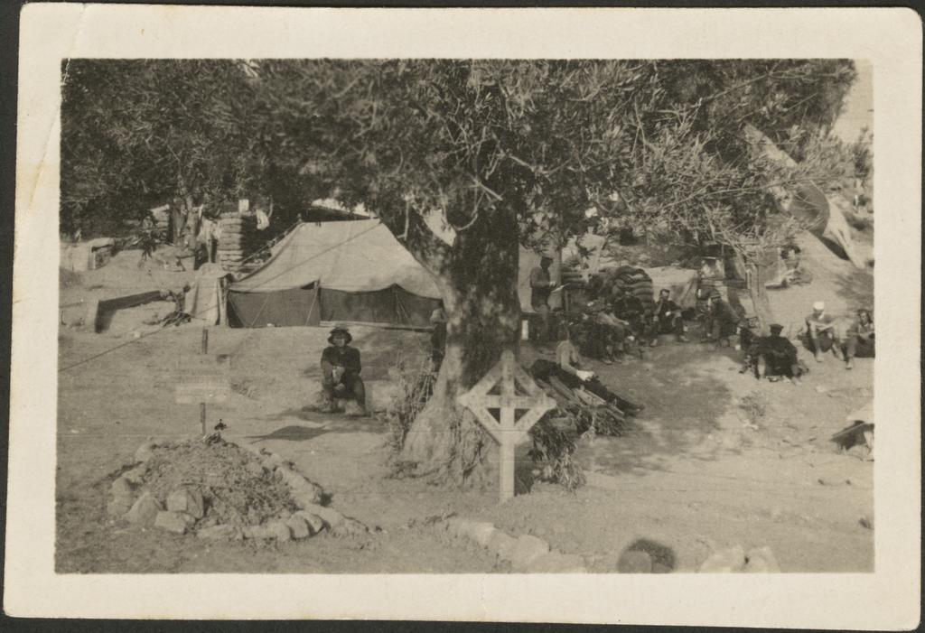'Lt. Col. C.E. Thomas O.C. N.Z. Mtd. 7 Amb killed in action August '15, buried at foot of Olive tree in camp at Taylor's Hollow'