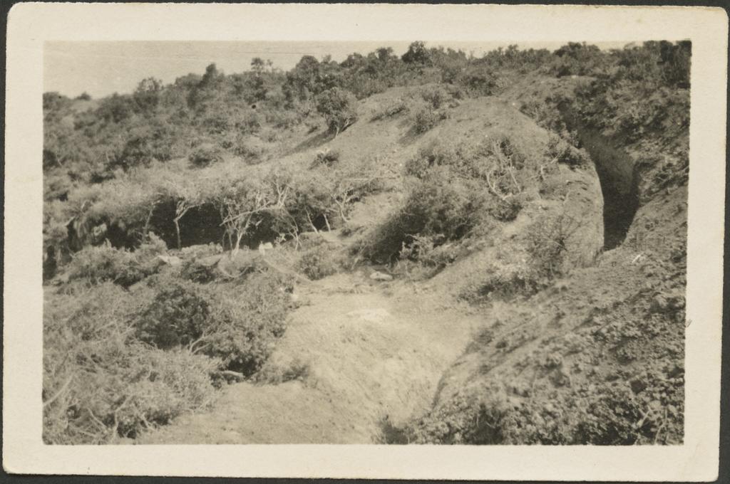 'Turkish trench and scrub shelters at end of [Banchope?] Ridge'