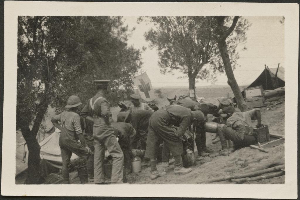 'ANZAC Taylor's Hollow'