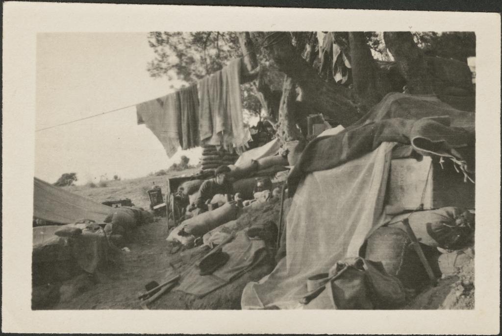 'Taylor's Hollow ANZAC'