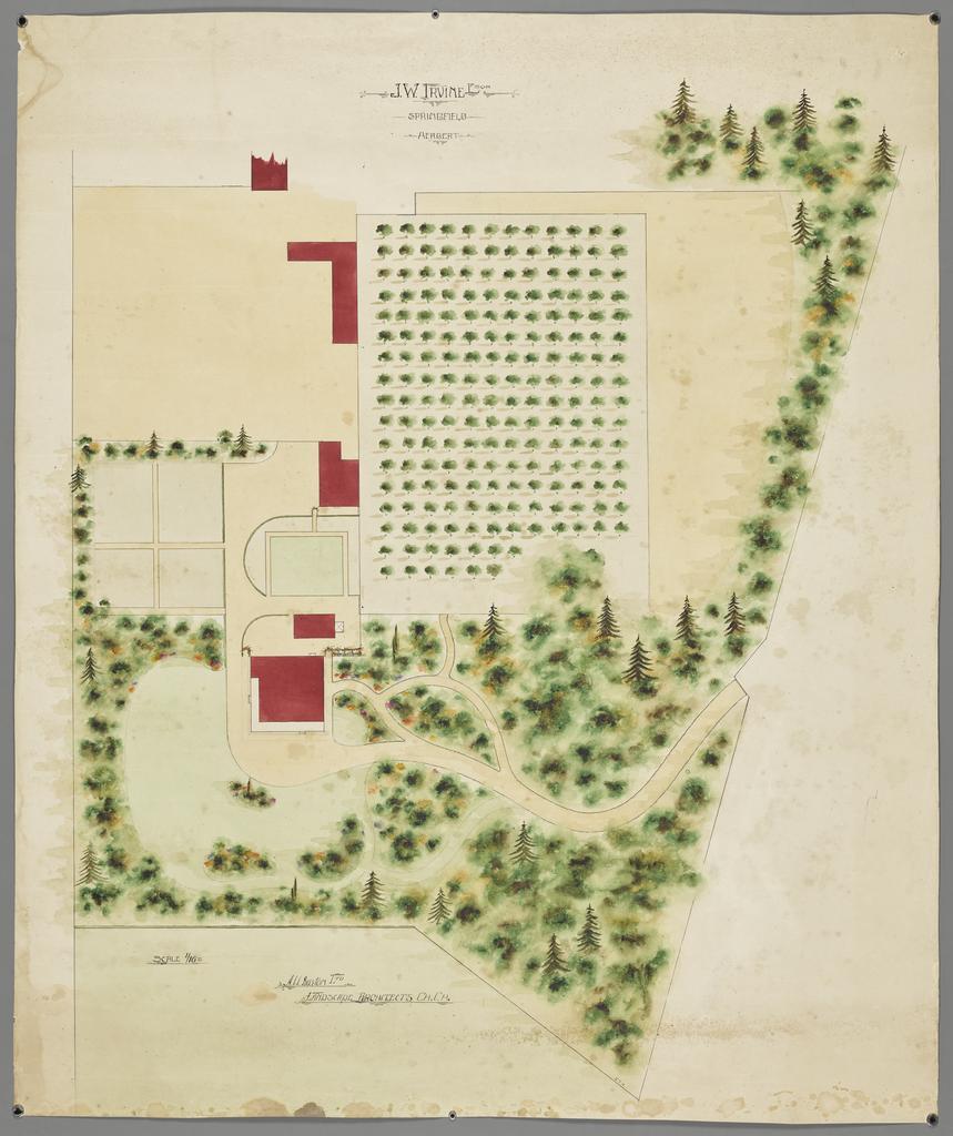 Garden plan for Joseph Weir Irvine, 'Springfield', 426 Herbert Road, Herbert, by A. W. Buxton Limited landscape architects