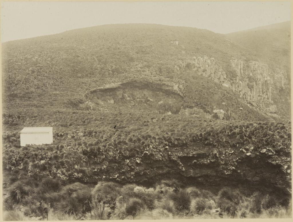 Government depot, Antipodes Island