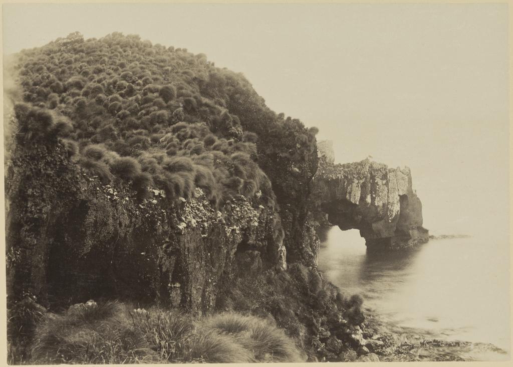 Boat Harbour, Antipodes Island