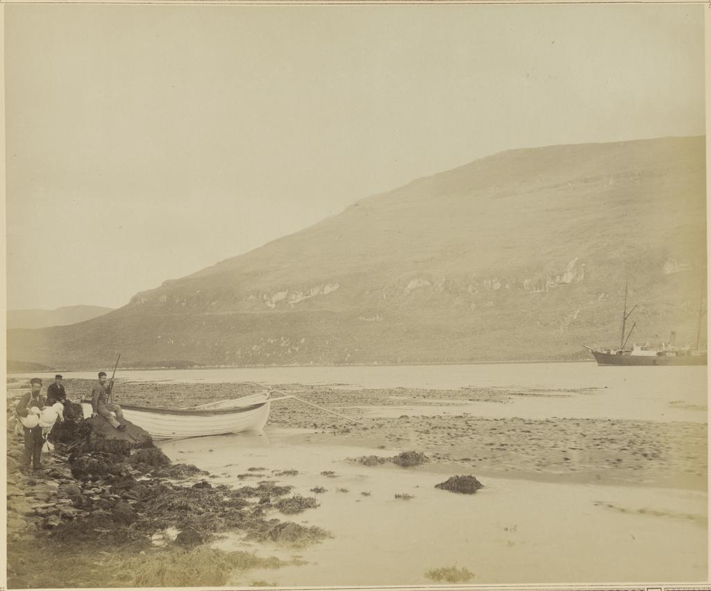 Albatross Hunter, N.E. Harbour, Campbell Island
