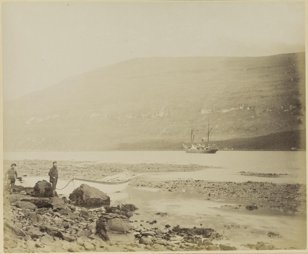 N.E. Harbour, Campbell Island