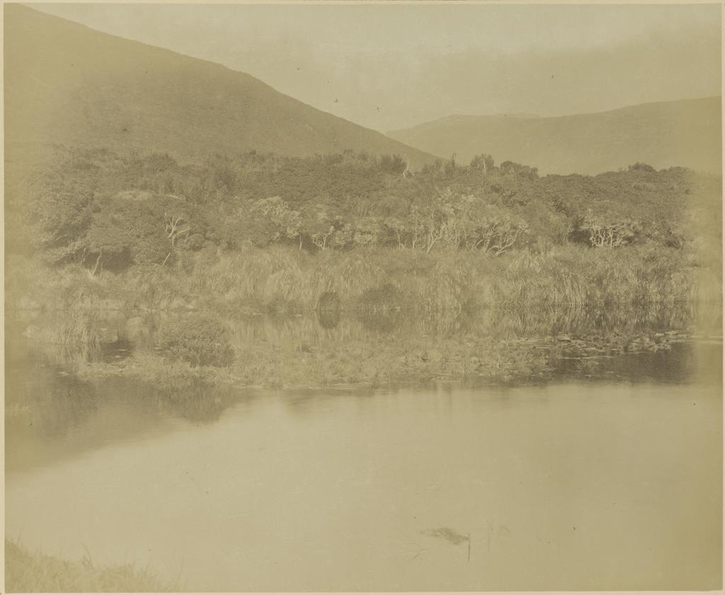 Sarah's Bosom, Auckland Island