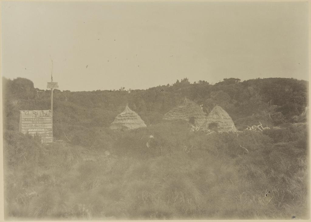'Derry Castle' huts on Enderby Island