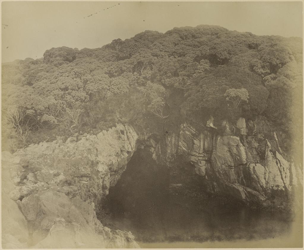 Cave on Snares Island