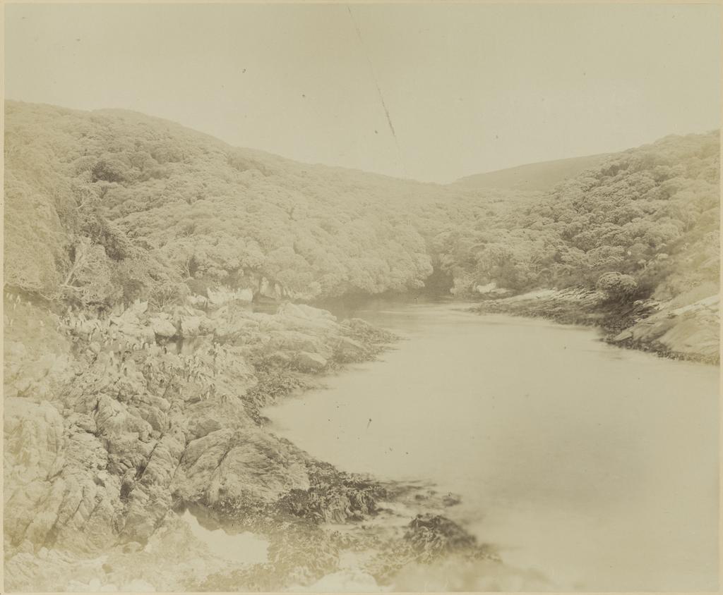 The Snares Island, Boat Harbour