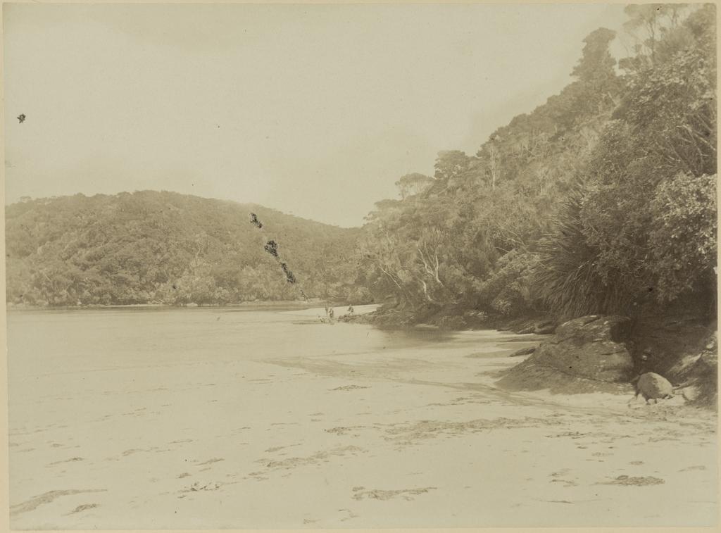 Wilson's Bay, Boat Harbour, Stewart Island