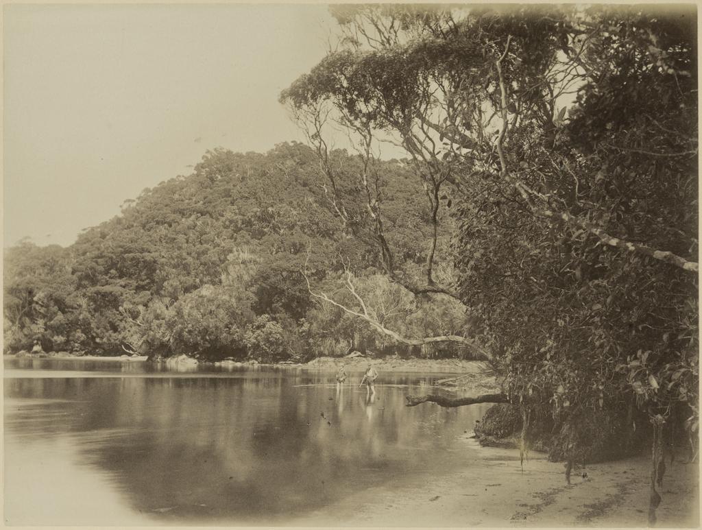 Wilson's Bay, Boat Harbour, Stewart Island