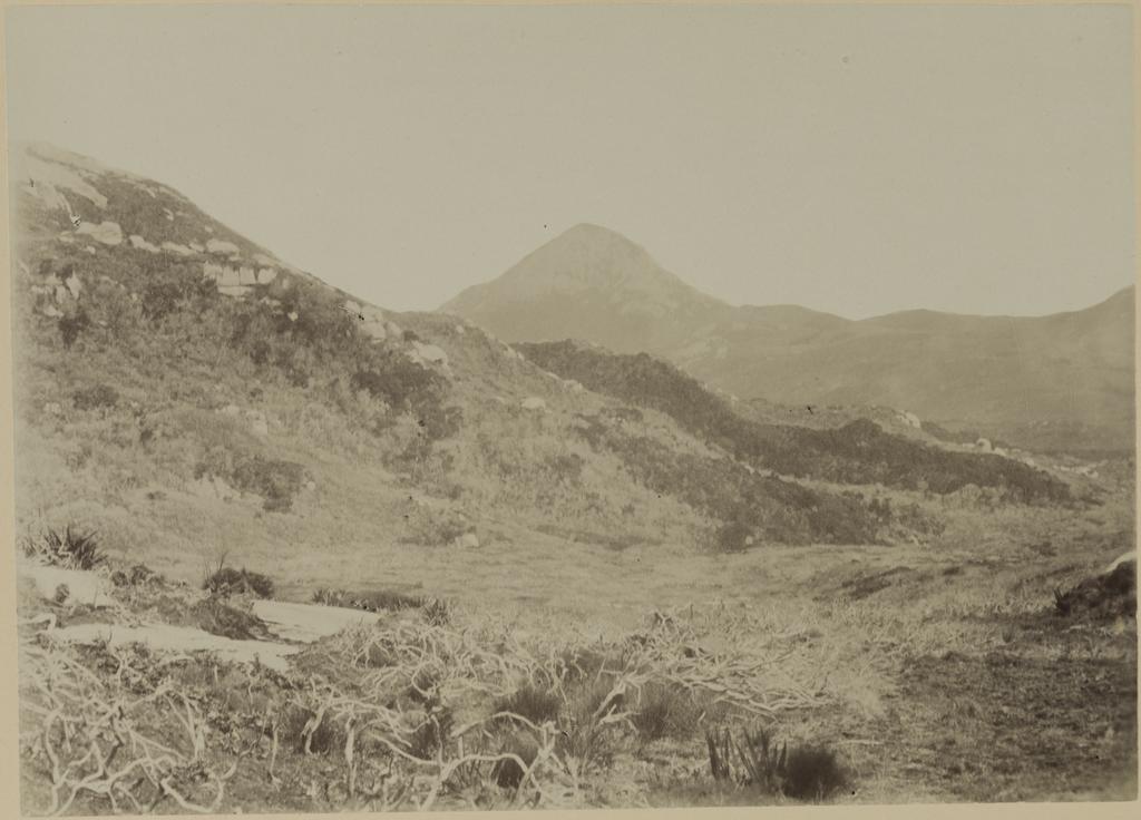 Fraser Peak (1400ft) Stewart Island
