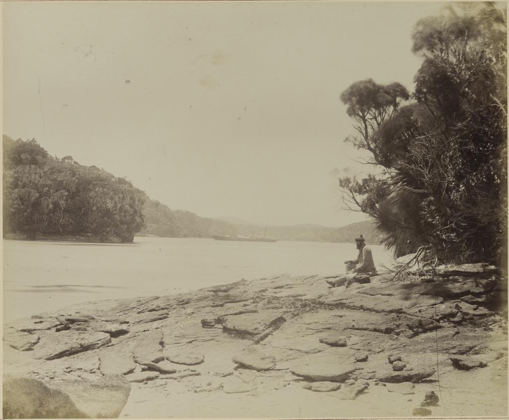 Evening Cove, Port Pegasus, Stewart Island