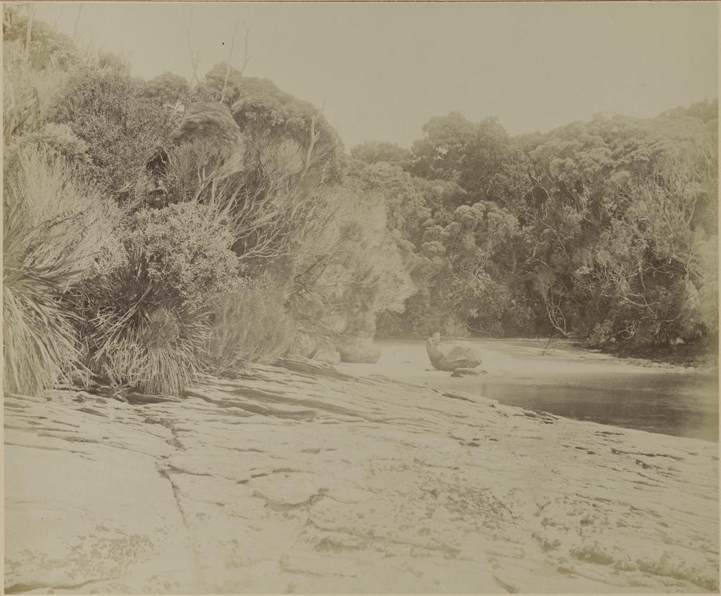 Evening Cove, Port Pegasus, Stewart Island