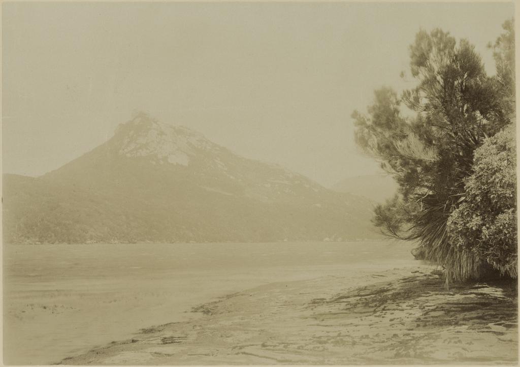 Bald Cone, Port Pegasus, Stewart Island