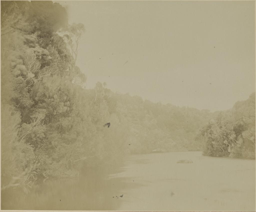 Lord's River, Stewart Island