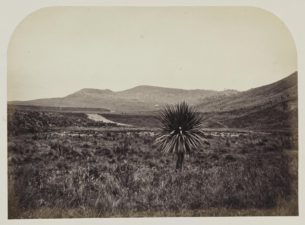 Mount Charles, Otepopo