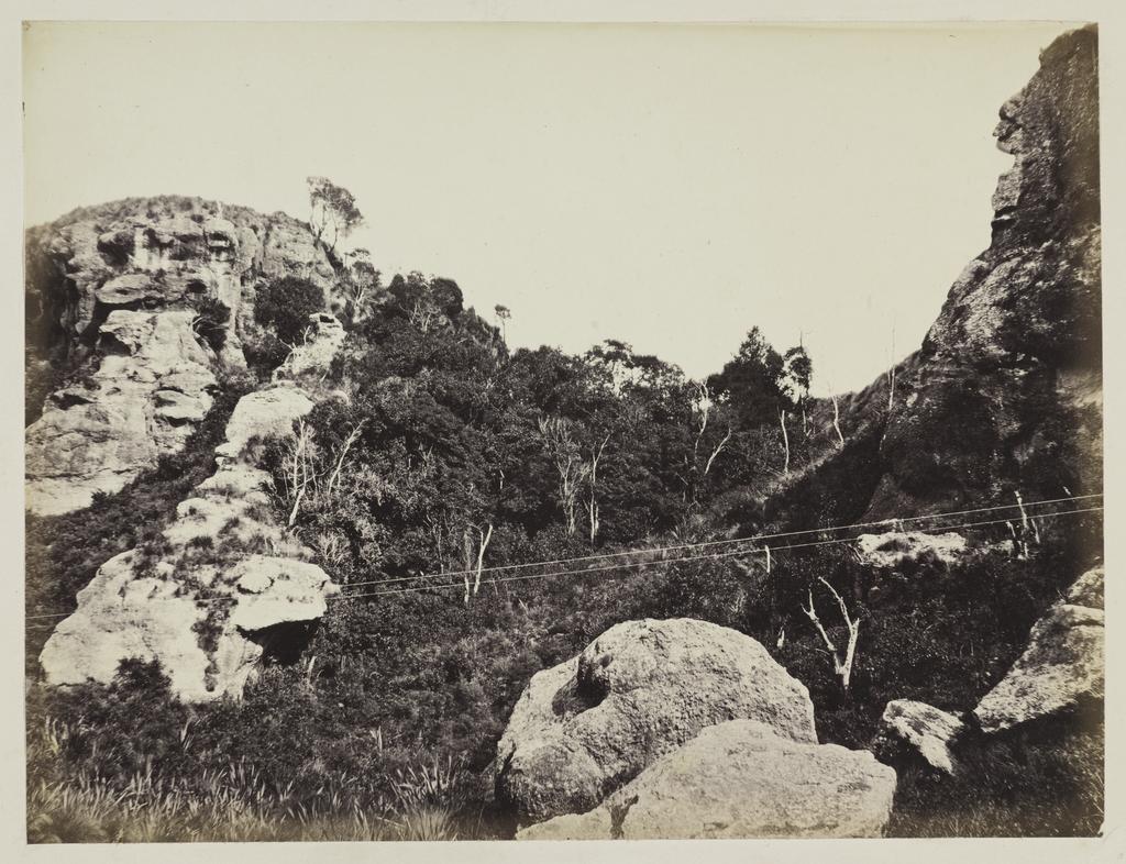 Horse Ranges, near Moeraki