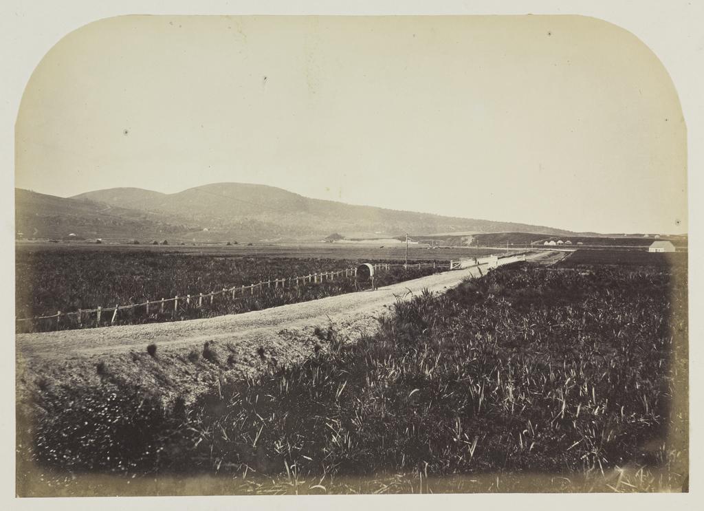 Cherry Farm, Waikouaiti
