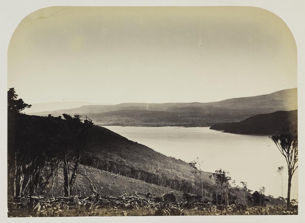 Dunedin from Portobello