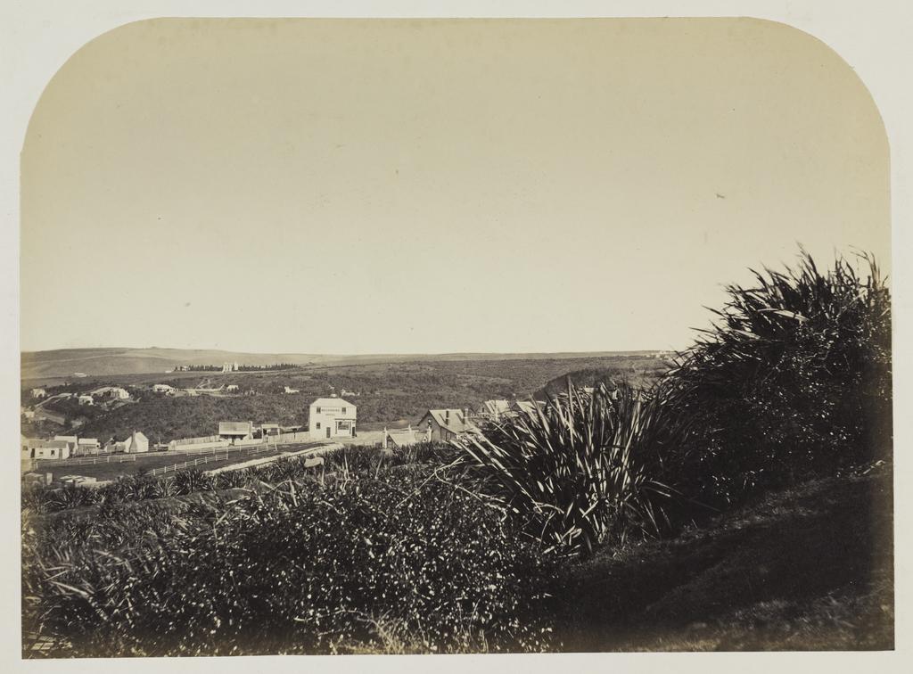 Single View of Dunedin (no. 5)