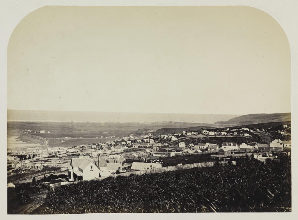 Single View of Dunedin (no. 4)