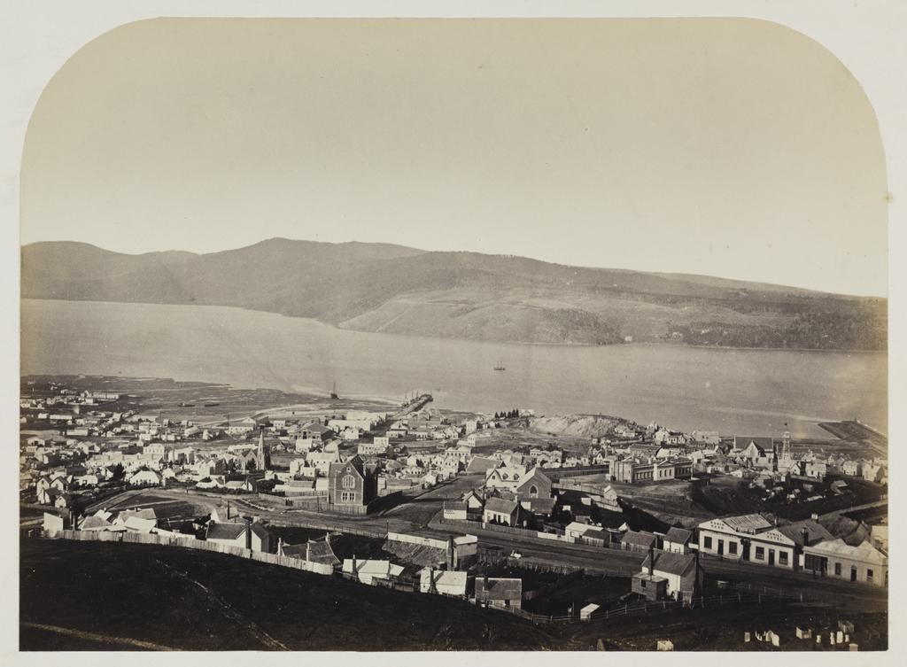 Single View of Dunedin (no. 2)