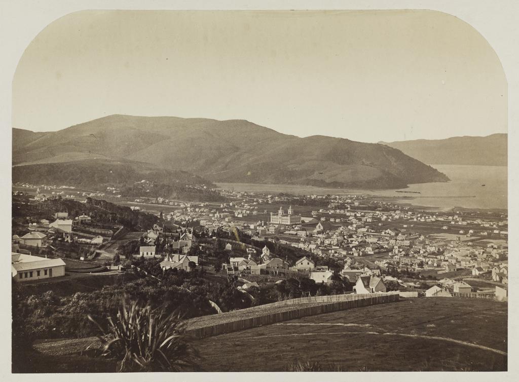 Single View of Dunedin (no.1)