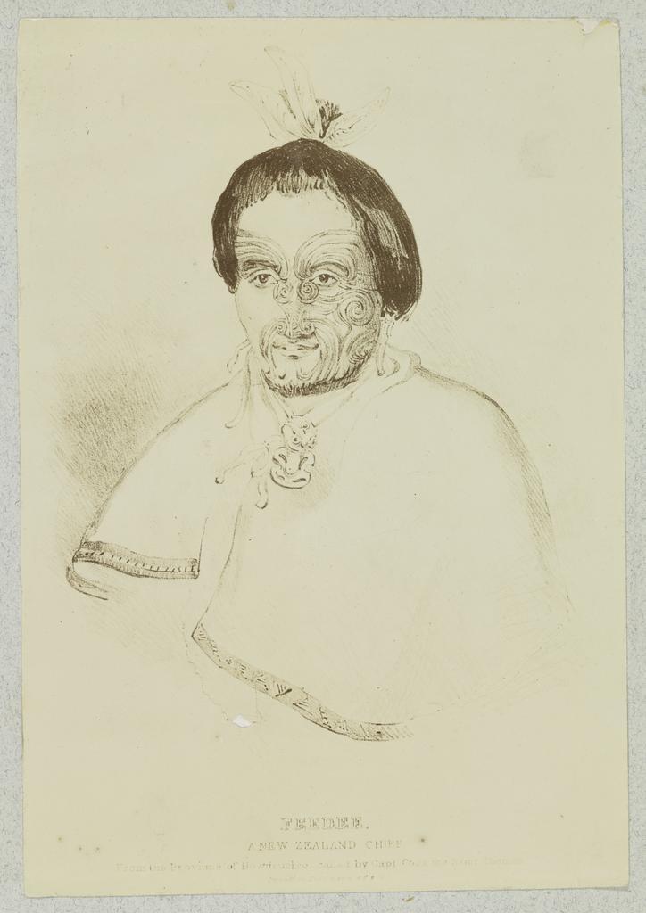 Feedee A New Zealand Chief