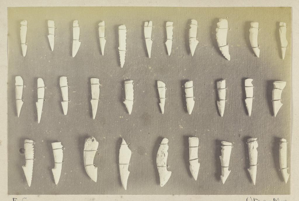 Harpoon heads