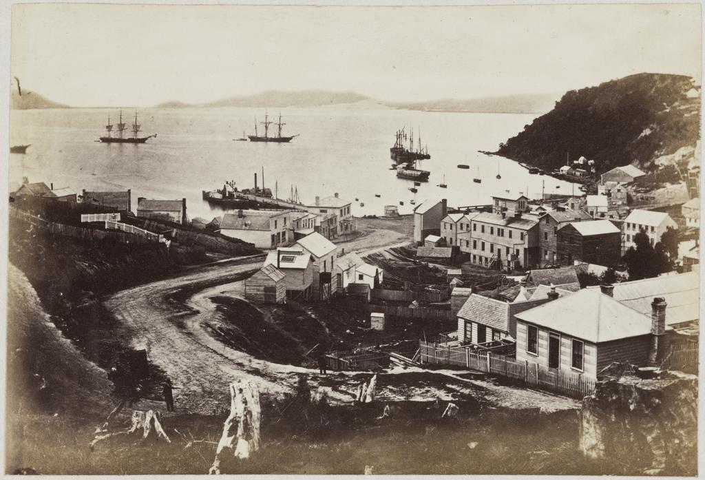 Port Chalmers from Mount St