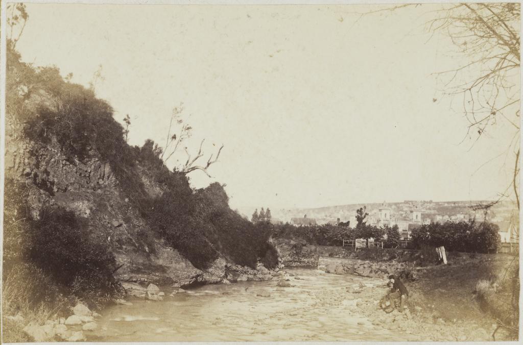 Water side of Botanical Gardens