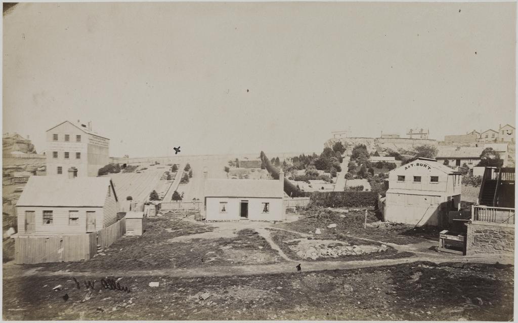 Taken from the back of Mathews, the gardener, Moray Place near site of Athenaeum in Octagon