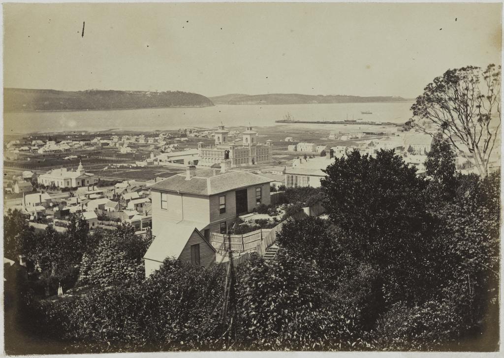 View from bush just above the top of upper Albany St