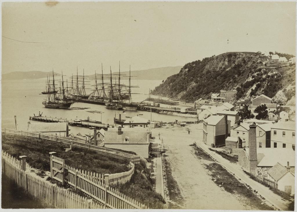 Port Chalmers looking down Mount St