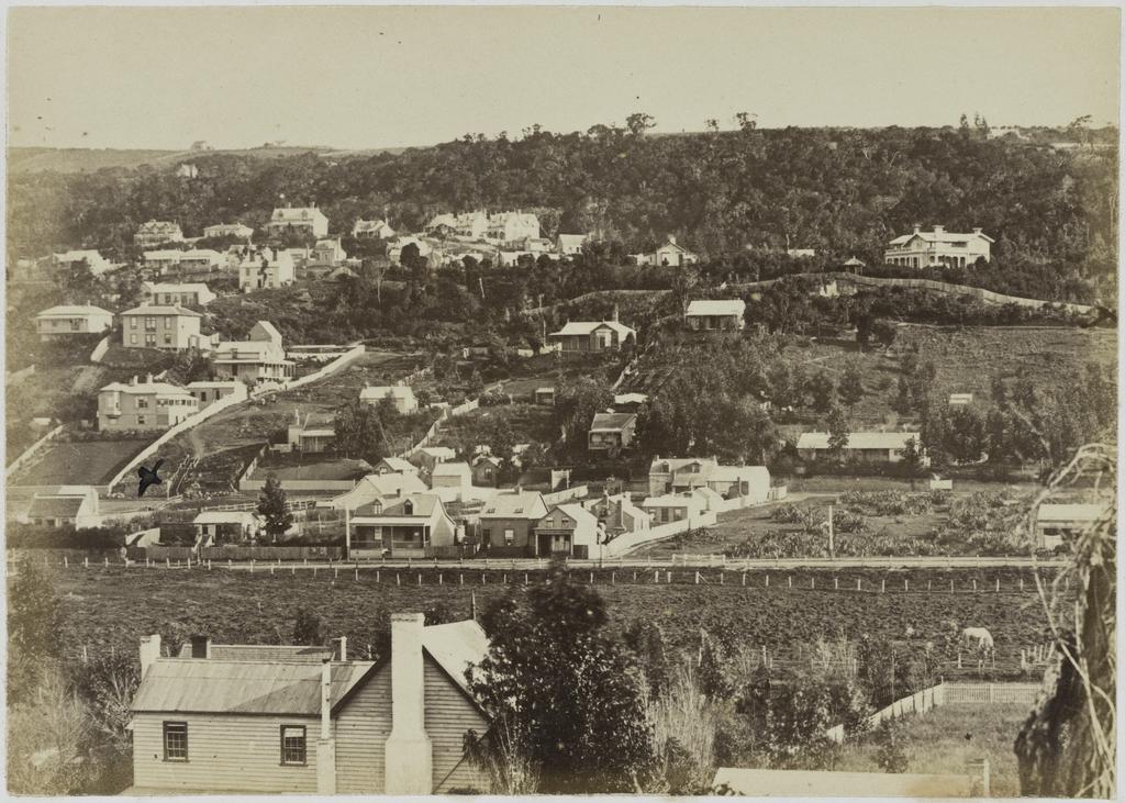 Line of Great King St from about Museum Reserve