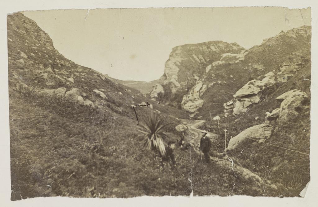 Trotters Gorge, Horse Range