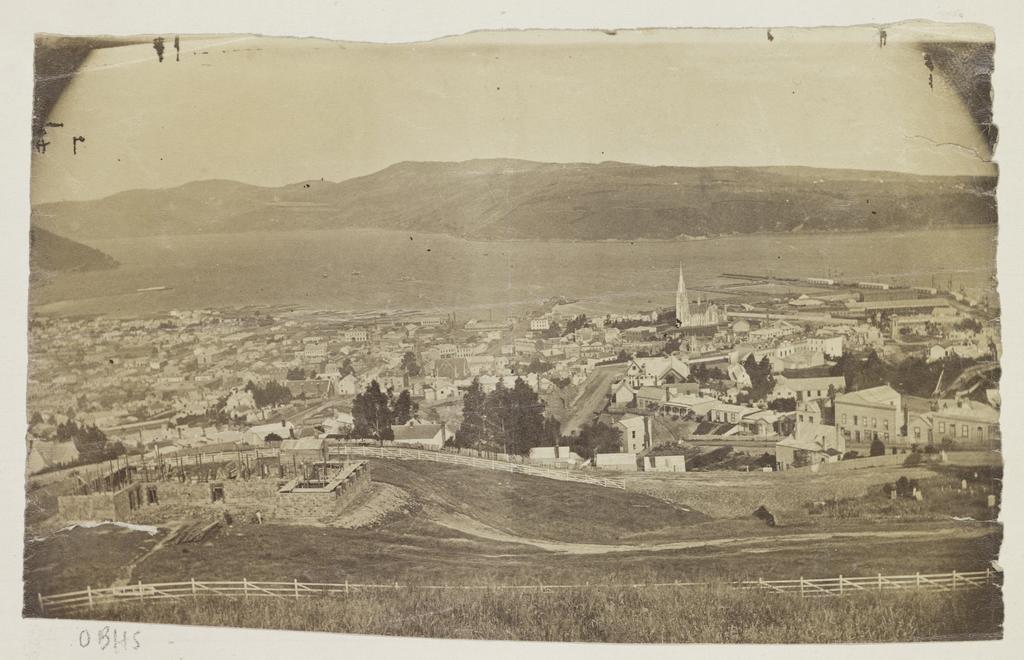 Dunedin from above Arthur Street