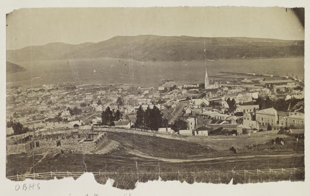 Dunedin from above Arthur Street