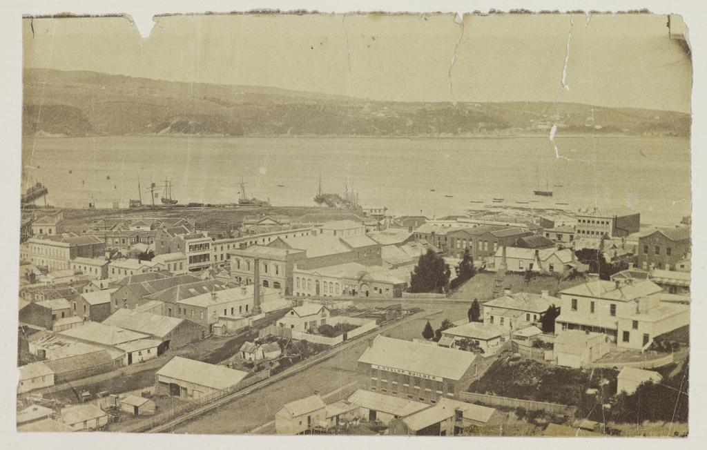 Clark Street, Dunedin