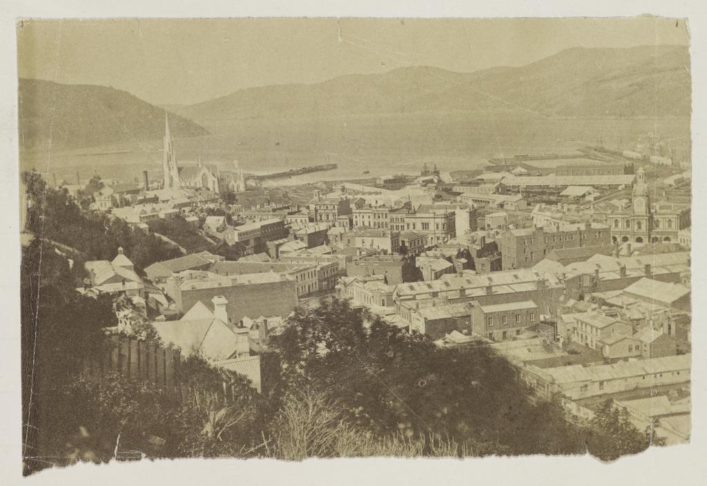Dunedin from City Rise