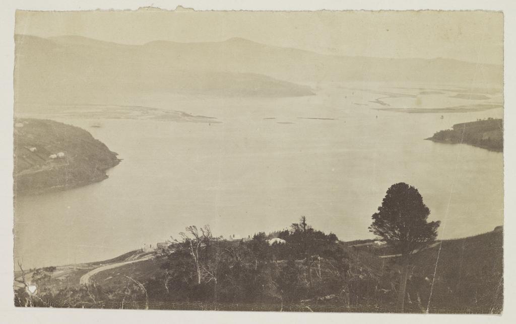 Otago Harbour from above Sawyers Bay