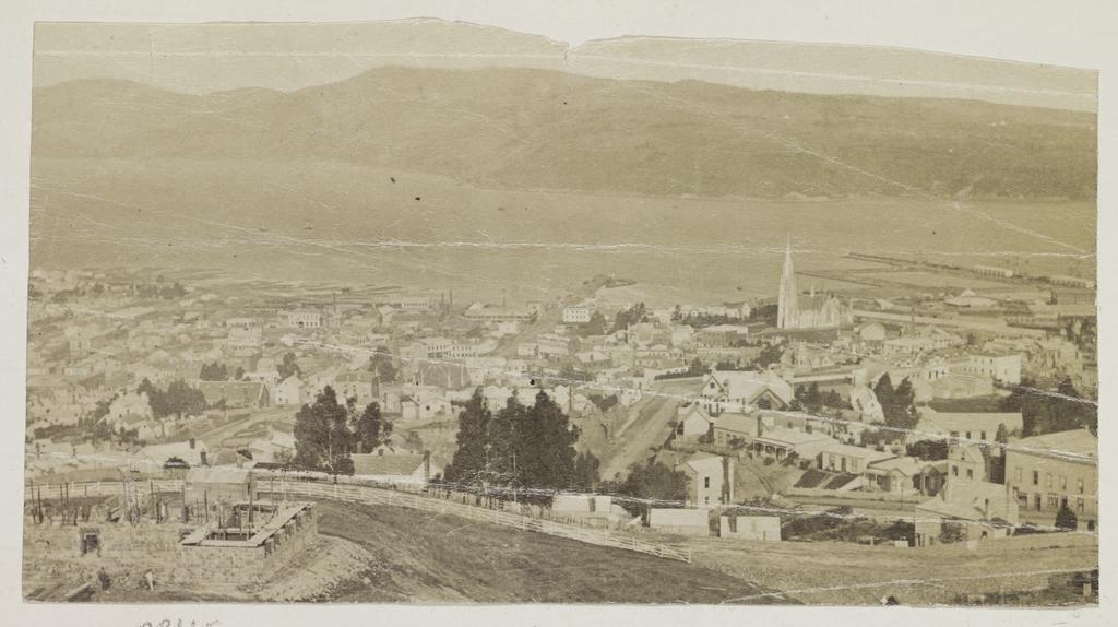 Dunedin from above Arthur Street