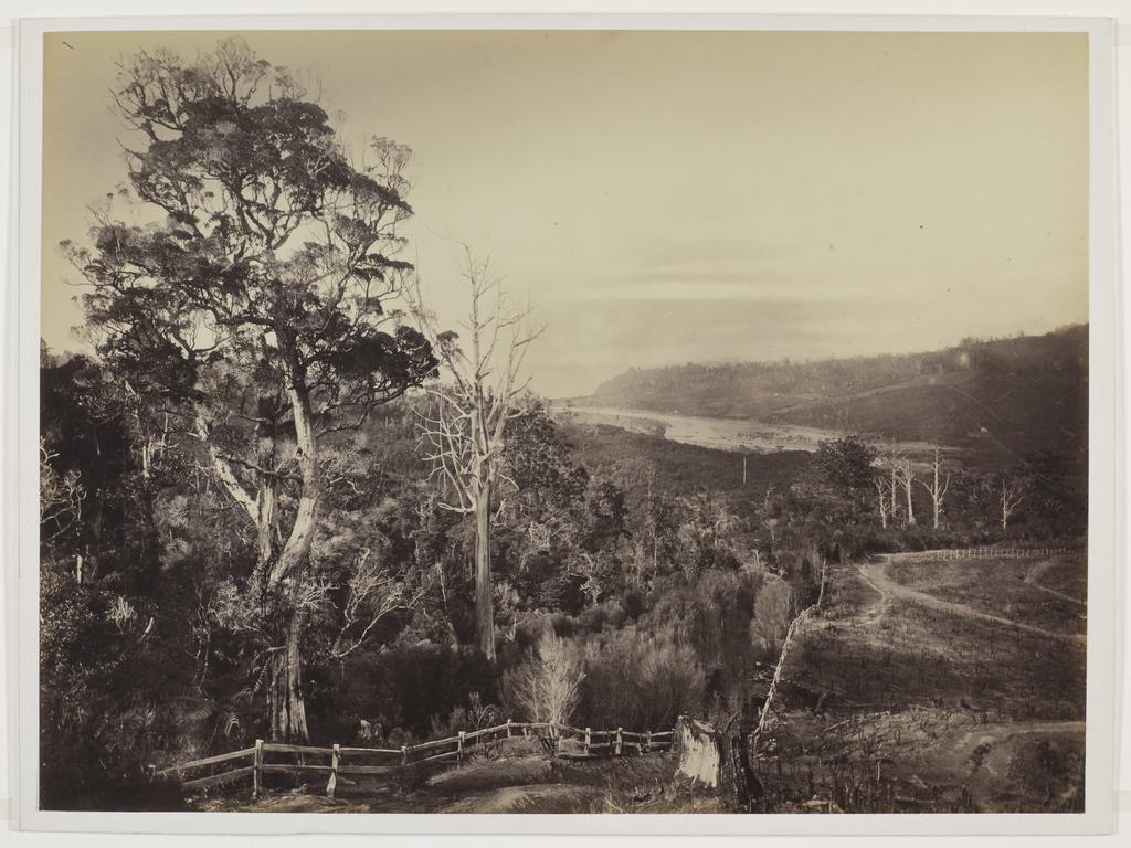 View over the Manukau Harbour with Little Muddy Creek