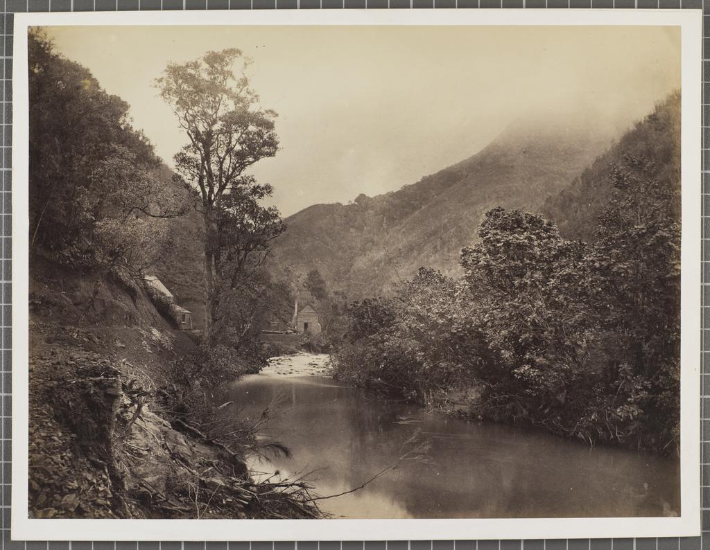 Tapu Creek, Thames Gold Field