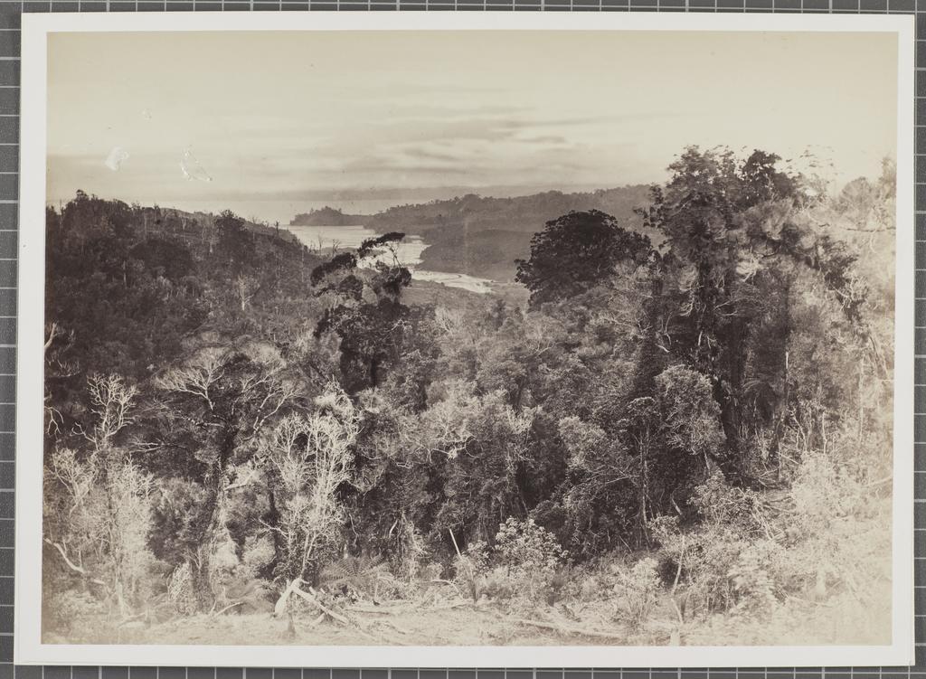 View over the Manukau Harbour with Little Muddy Creek