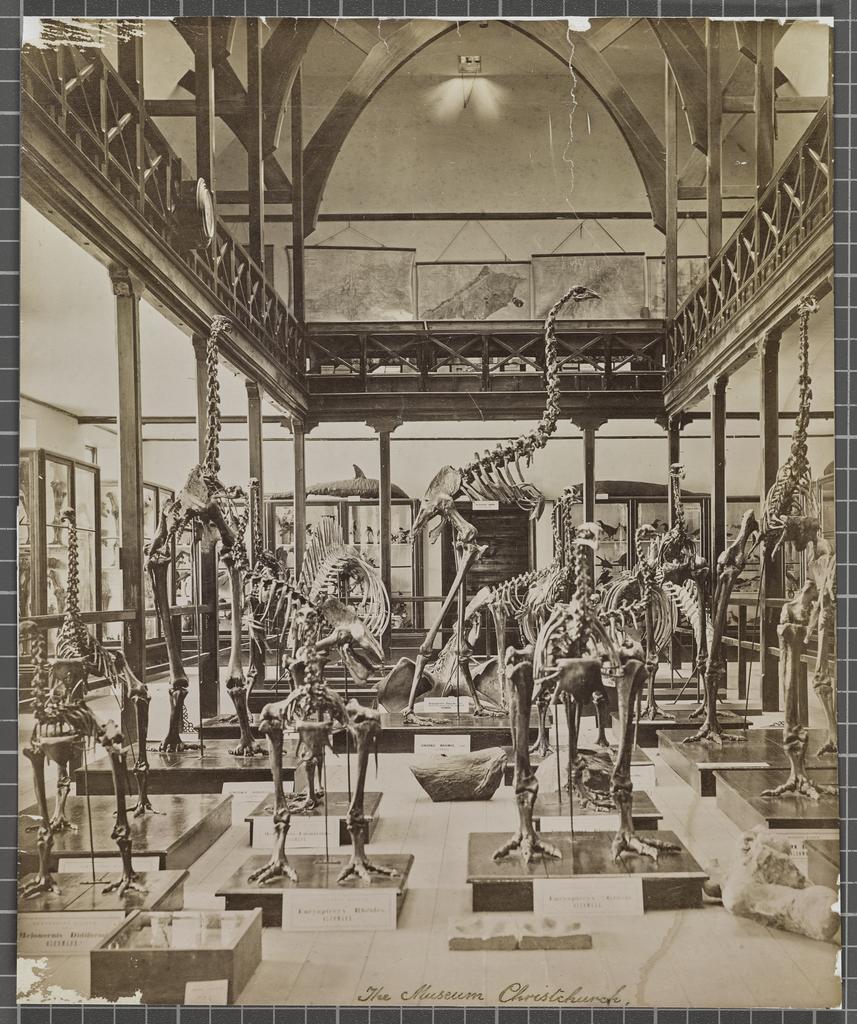 The Museum, Christchurch